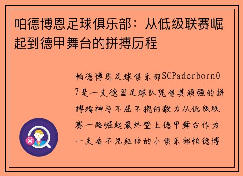 帕德博恩足球俱乐部：从低级联赛崛起到德甲舞台的拼搏历程