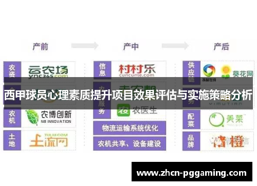 西甲球员心理素质提升项目效果评估与实施策略分析