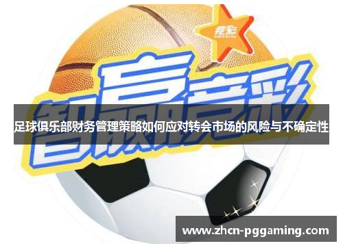 足球俱乐部财务管理策略如何应对转会市场的风险与不确定性