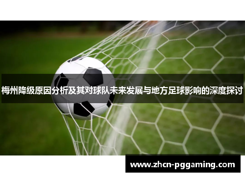 梅州降级原因分析及其对球队未来发展与地方足球影响的深度探讨