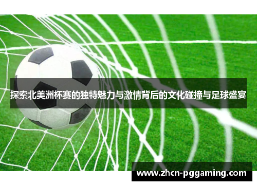 探索北美洲杯赛的独特魅力与激情背后的文化碰撞与足球盛宴