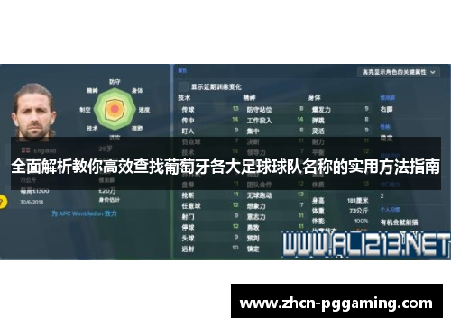 全面解析教你高效查找葡萄牙各大足球球队名称的实用方法指南