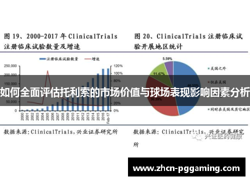 如何全面评估托利索的市场价值与球场表现影响因素分析