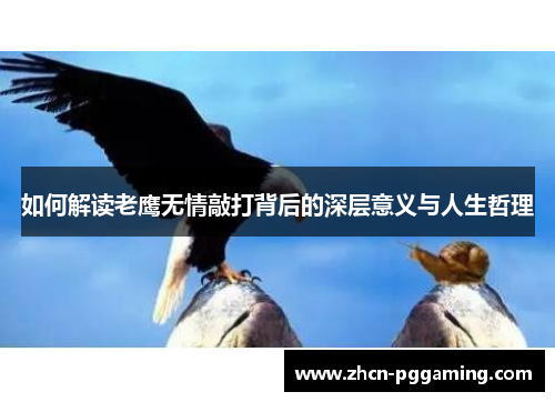 如何解读老鹰无情敲打背后的深层意义与人生哲理