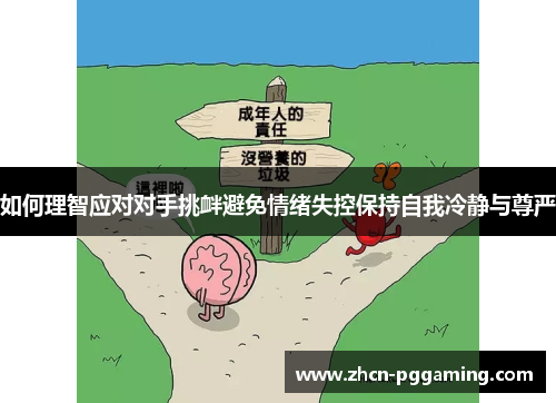 如何理智应对对手挑衅避免情绪失控保持自我冷静与尊严