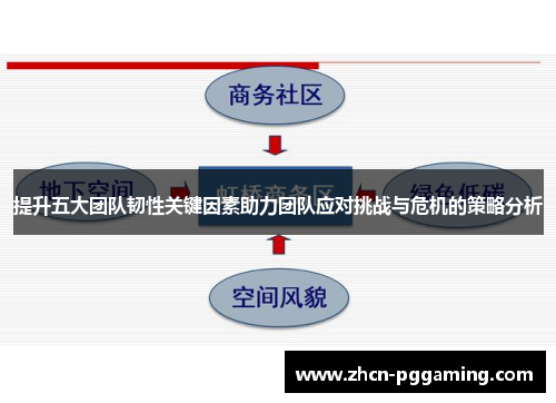 提升五大团队韧性关键因素助力团队应对挑战与危机的策略分析